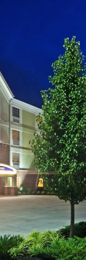 哈蒂斯堡烛木套房酒店，位于哈蒂斯堡的酒店