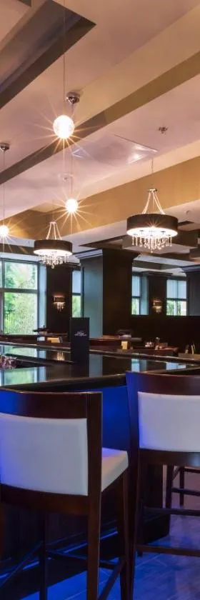 Crowne Plaza Shenandoah - The Woodlands Area by IHG，位于兀兰的酒店