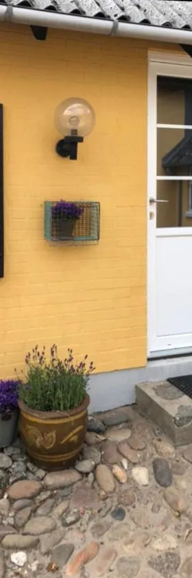 Ellemose Bed and Breakfast，位于莱姆维的酒店