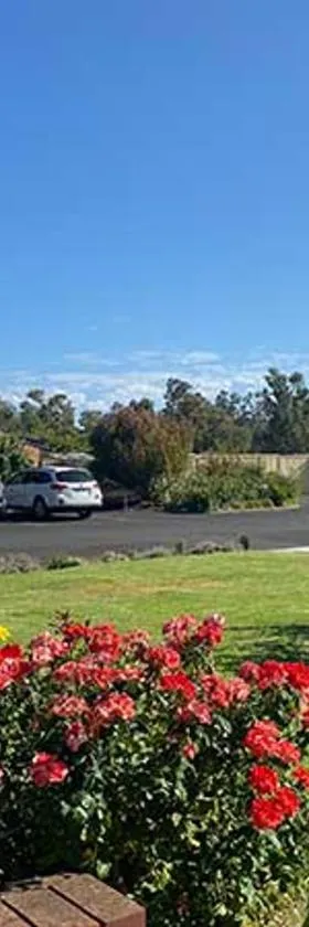 Donnybrook Motel，位于Donnybrook的酒店