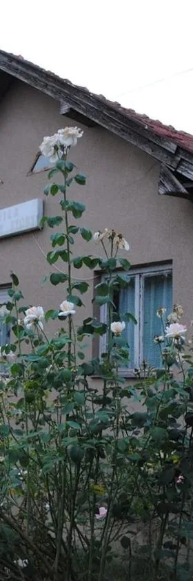 Vila Happy Story，位于Knjazevac.的酒店