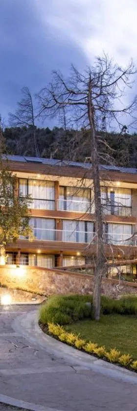 Hotel Alto Traful，位于特拉福镇的酒店