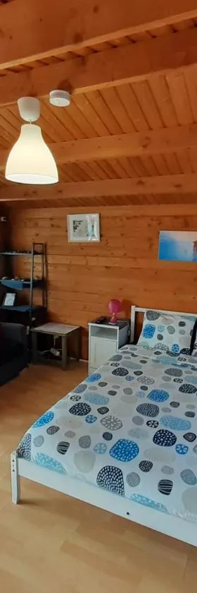 Cabañas Volcán Capellania，位于Tinguatón的酒店