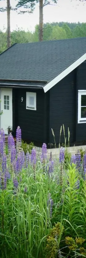 Fröya Timber Cottage，位于阿尔维卡的酒店