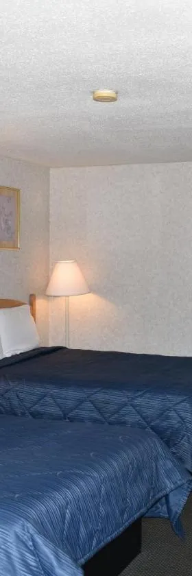 POCONO NIGHT LODGE，位于巴顿斯维尔的酒店