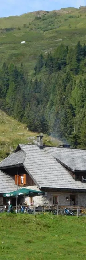 Straniger Alm，位于Stranig的酒店