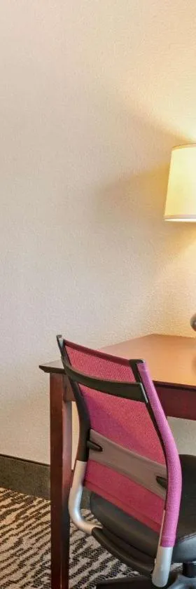 La Quinta by Wyndham Houston - Magnolia，位于兀兰的酒店