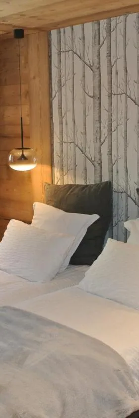 Chalet Teleporte B&B，位于莱热的酒店