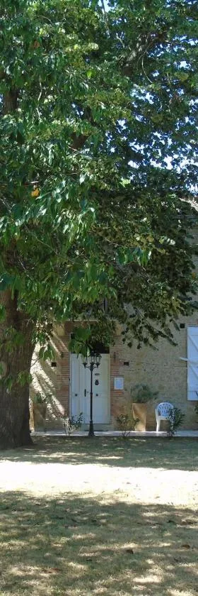 La Bastide De Negra，位于Montesquieu-Lauragais的酒店