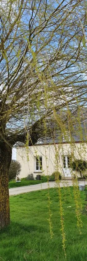 au Petit Paradis，位于Sainte-Gauburge-Sainte-Colombe的酒店