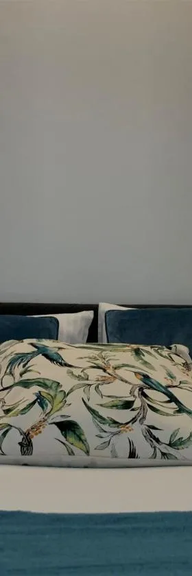 COZY Nest apartment in Kaunas，位于考纳斯的酒店