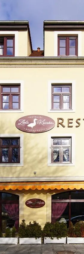 Hotelik & Restauracja Złota Kaczka，位于兹戈热莱茨的酒店