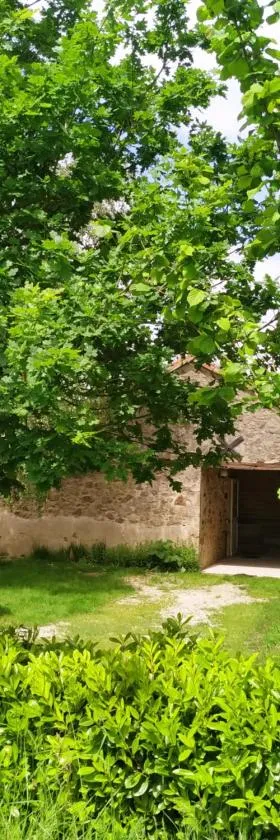 Gîte de La Brenelière，位于Cirière的酒店