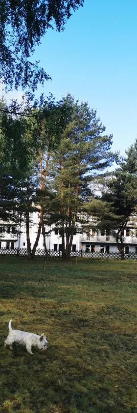 Hotel Szablewski，位于Dymaczewo Nowe的酒店