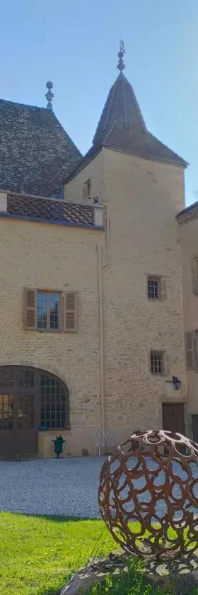 Château de la Venerie，位于Denicé的酒店