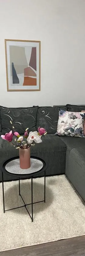 Apartman Aleksic，位于雅戈丁那的酒店
