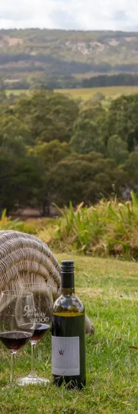 WayWood Wines Your Vineyard Getaway，位于McLaren Flat的酒店