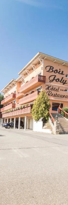Hôtel-Restaurant Bois Joly，位于克罗泽特的酒店