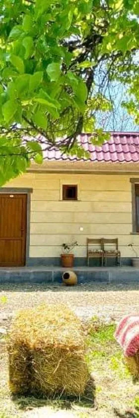 Aghasu Tun B&B，位于Odzun的酒店