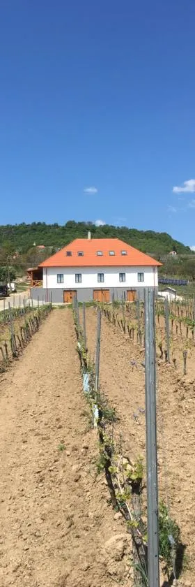 Somló Kolonics Kúria，位于Somlóvásárhely的酒店