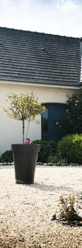 Les Chambres d'hôtes du Faubourg，位于圣里基耶的酒店