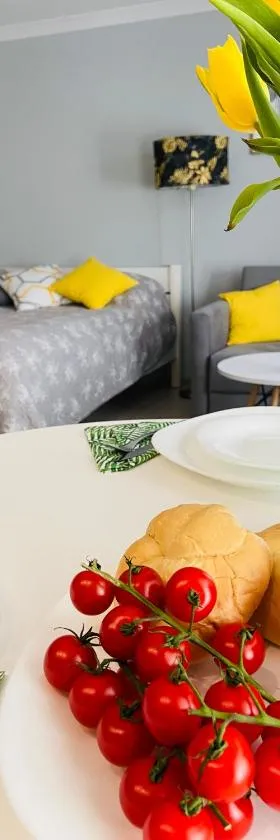 Apartament na Starówce III，位于普什奇纳的酒店