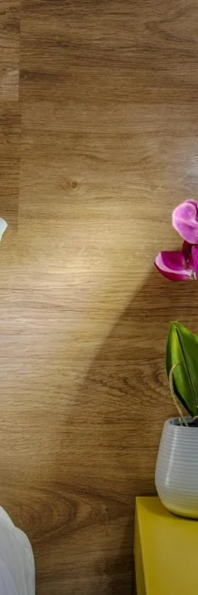 Hostal-Restaurante LUGANO，位于贝林的酒店
