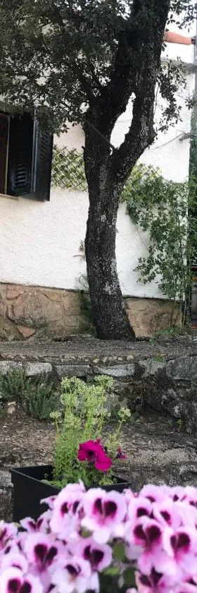 Cabaña rústica，位于科利亚多·比利亚尔瓦的酒店