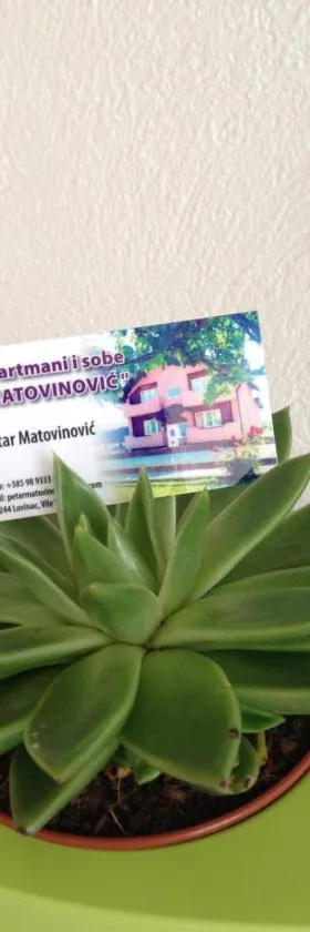 Sobe Matovinović，位于Lovinac的酒店