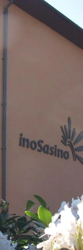 Pokoje InoSasino z basenem i sauną，位于萨希诺的酒店