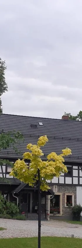 Agroturystyka Łysa Góra，位于耶莱尼亚古拉的酒店