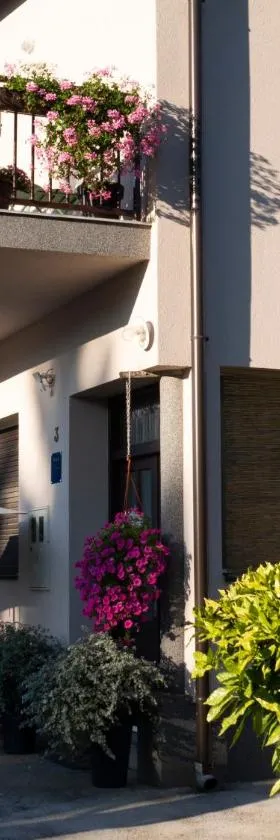 Apartment Dubovac，位于卡尔洛瓦茨的酒店