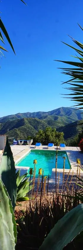Olive Branch El Chorro，位于埃尔乔罗的酒店
