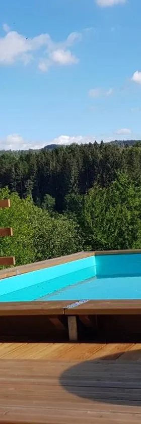 Le Jura en toutes saisons Piscine, SPA, location VTT, balades 2cv, climatisation，位于Bonlieu的酒店