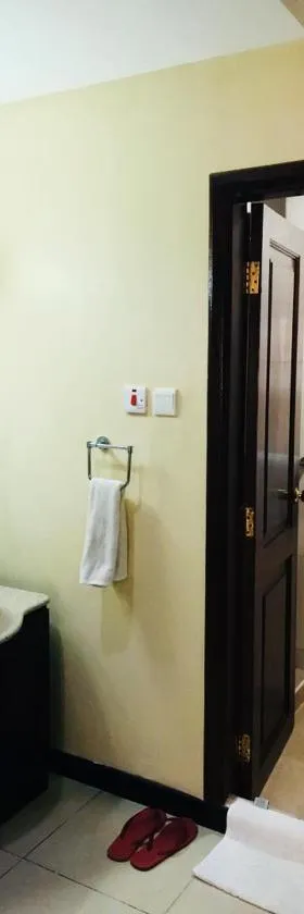 城市玫瑰公寓酒店，位于达累斯萨拉姆的酒店