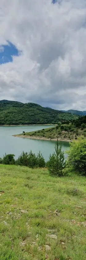 Zavojsko jezero Pirot - smestaj Manic，位于Gostuša的酒店