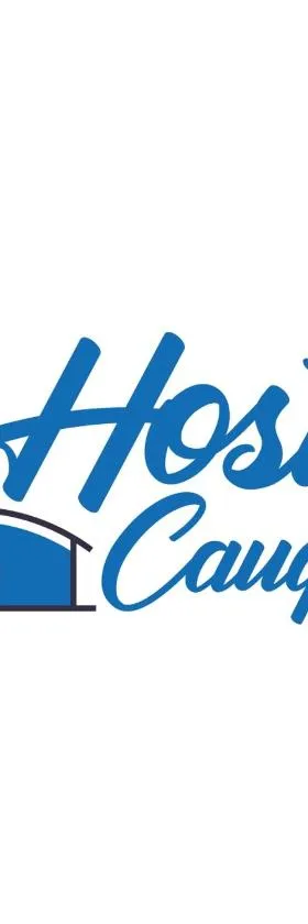 HOSTAL CAUQUENES，位于Cauquenes的酒店