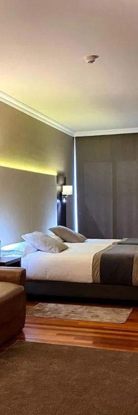 阿尔米内酒店，位于巴绍里的酒店