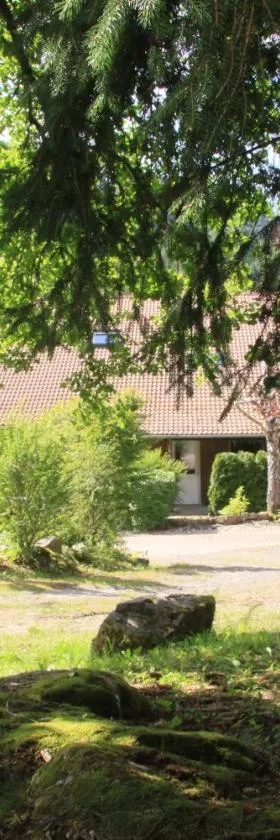 Notre Dame des Monts，位于Ban-sur-Meurthe-Clefcy的酒店