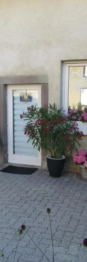 La belle endormie - appartement A，位于Fénétrange的酒店