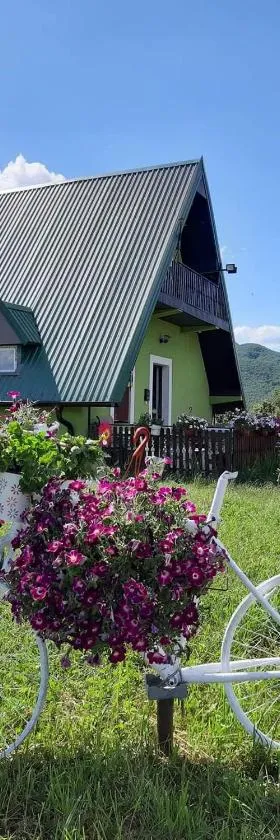 Villa Jasikovac，位于贝拉内的酒店