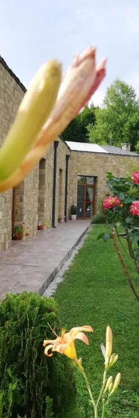Boomerang Guest House，位于阿普里尔齐的酒店