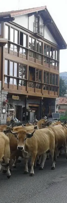 Posada El Mirador，位于Lavín的酒店
