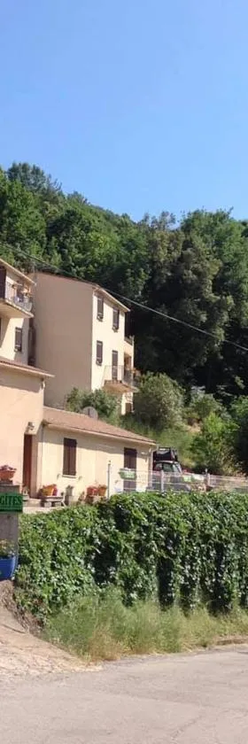 Gîtes à COZZANO，位于Cozzano的酒店