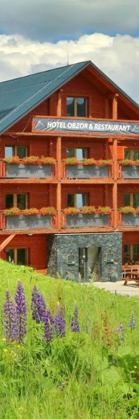 Hotel Obzor，位于派克波特斯耐兹库的酒店