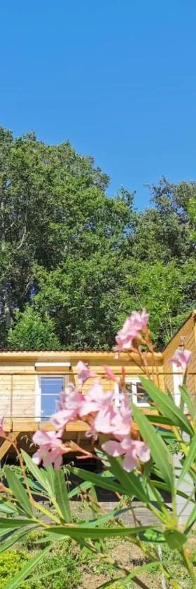 Le lodge sur pilotis，位于Fichous-Riumayou的酒店