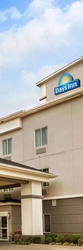 矿泉井城戴斯套房酒店，位于矿泉井城的酒店