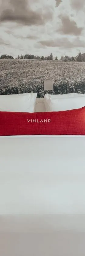 Vinland Hotel and Lounge，位于索尔万的酒店