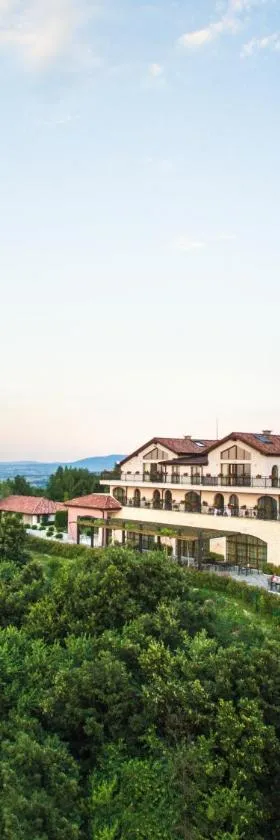 Zaara Estate Winery Hotel & SPA，位于Glavan的酒店