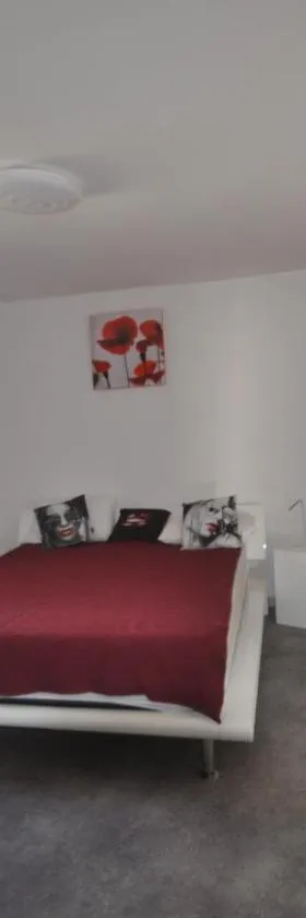 sassenage au pied du Vercors 2 appartements，位于萨瑟纳日的酒店